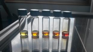 a photograph glass test tubes containing a golden brown liquid